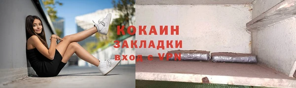 шишки Болохово