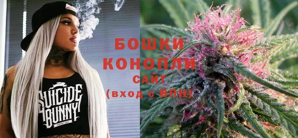 шишки Болохово