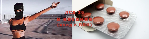 шишки Болохово