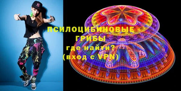 шишки Болохово