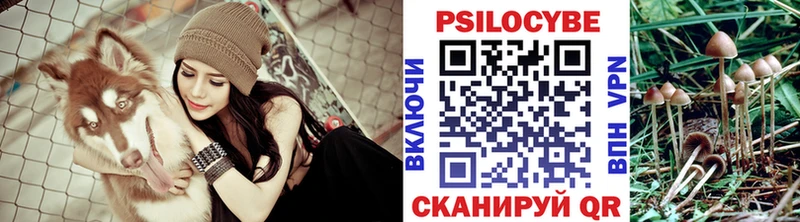 Галлюциногенные грибы Psilocybine cubensis  ОМГ ОМГ вход  Гаджиево 